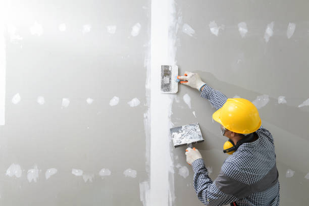 Best Basement Mold Removal  in Fallston, MD